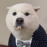 host_avatar