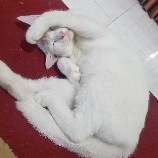 $ETH $BTC just pmp and dmp, played by whale.. very scared