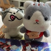 好運哆哆財多多