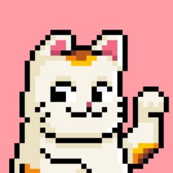 MollyCelebrityRecommends