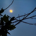 #PI 2026 might be the most popular one.