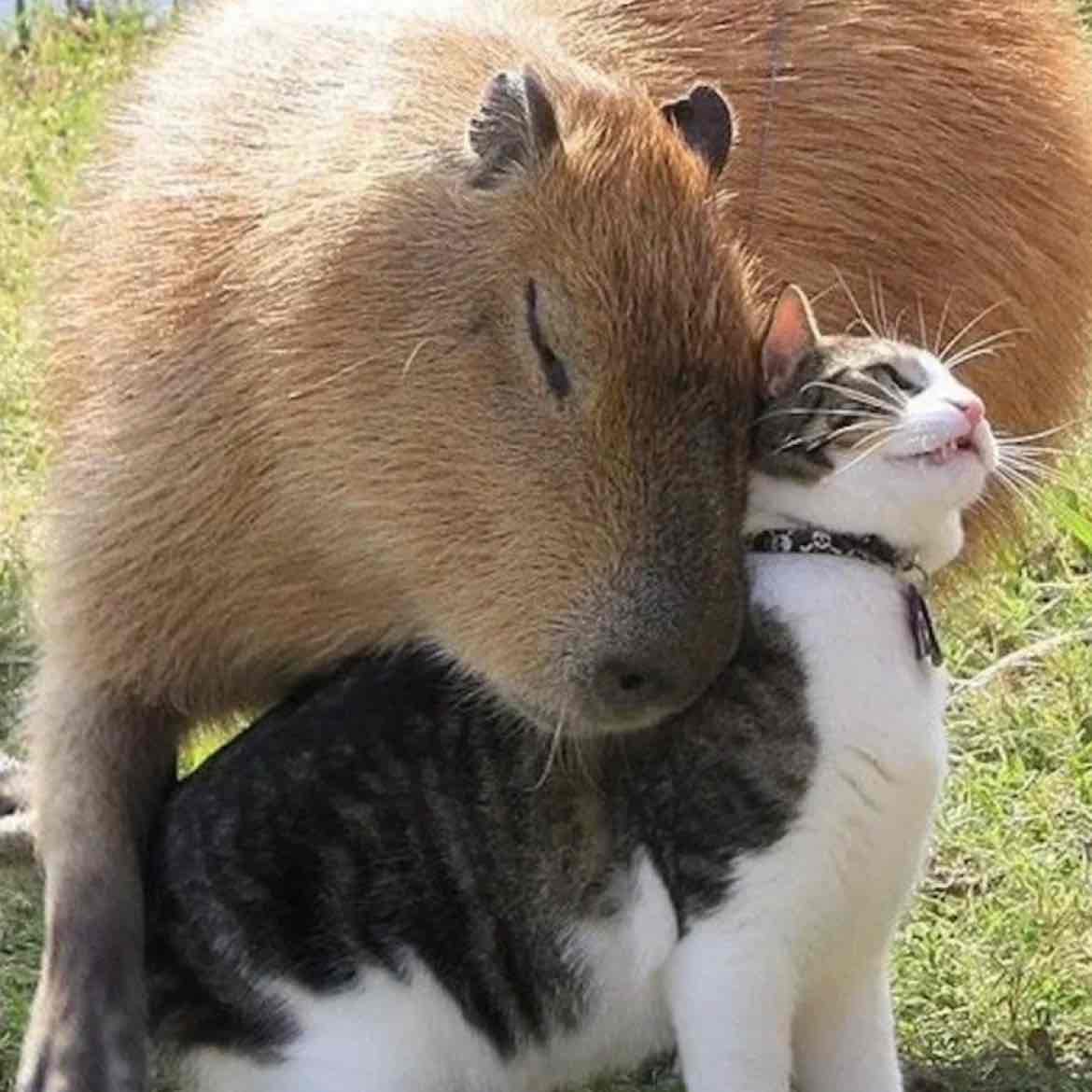 The intuition is growing stronger every month for the altcoin season, for and against:
FOR:
1) Fiat devaluation at a rapid pace
2) Central Bank rate cuts
3) ATH across all assets
4) Rapid correction in gold
5) Limited bitcoin issuance and 90% buyback
6) Rise in prices for AI components (some of this has already happened in the past cycle)
7) Correction within ABC waves is nearing completion
8) Increase in taxes and duties
AGAINST:
1) Low liquidity in real sectors
2) Unemployment
3) Reduction in production