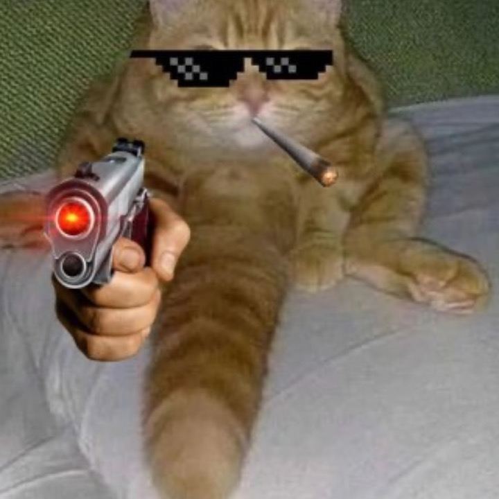 The website showcasing top traders' live trading accounts is about to undergo a major update
1. I have narrowed the column on the right, and all future space will be dedicated to charts
2. Now supports importing your API, MT5 documents, and other features. Currently, cryptocurrencies only support BTC, ETH, and SOL
3. New feature: dynamically view hype whale opening positions; all information is displayed in the chart for easy understanding
4. New feature: press space to open the assistant, letting it guide you to the most profitable and most losing intervals in trading data
The website will be updated tomorrow. A few days ago, I went home to celebrate my mom's birthday. Now I’m back and ready to work!