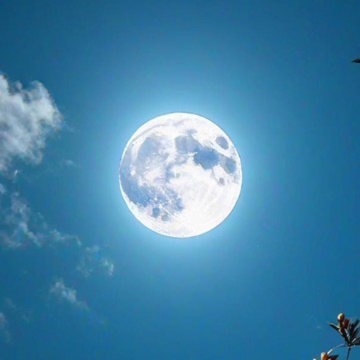 Market Quick Review: #BTC
5F, a bearish structure without divergence, still maintain short positions until a second buy signal appears.
1F, also in a downward extension, continue to hold short positions until a bullish trend emerges.