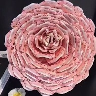 $PI  increase position increase position