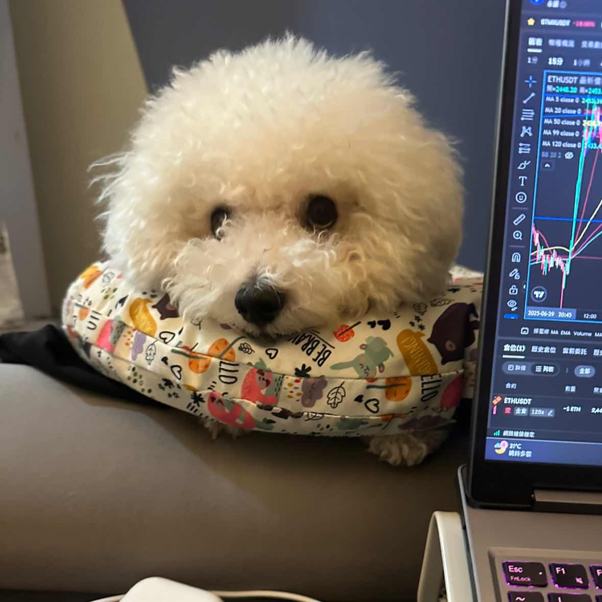 Technical Analysis📊
BTC
Currently, the pressure above is very strong.
The first support target below is 89000.
If it breaks, the second target is 78000.
According to my experience as a little painter
It is highly likely to drop to 52000📉📉📉
ETH
Currently within expectations, heading towards 2800.
Very likely to reach 2100
📉📉📉
#比特幣價格分析 