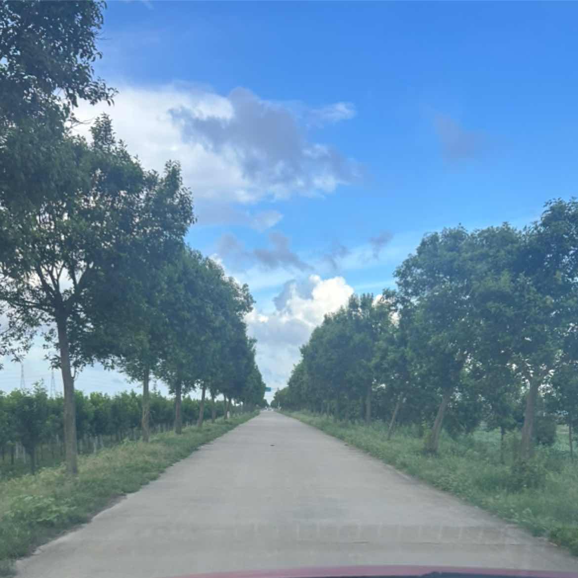 #XRP  will undergo a large-scale burn of a total of 1 billion UNI tokens, 20U easy to go.