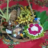 Dukun_koin_micin