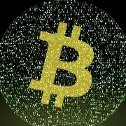 #SOL  Diving King Turtle