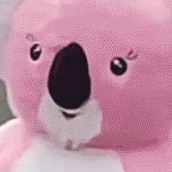 ETH is the VIP lounge in Macau, Gas fee is the capital verification threshold. Once consensus is formed, it's all whales throwing money around.  
SOL is the main hall, with heated sentiment, extremely fast transactions, all old gamblers frantically going all-in.  
And BSC is like an underground black casino in the suburban and rural areas, filled with card-dealing machine dogs and con artists. Anyone with a bit of money has already gone to the first two places, leaving the rest digging into their pockets.