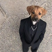 #PI  Has everyone already shot?