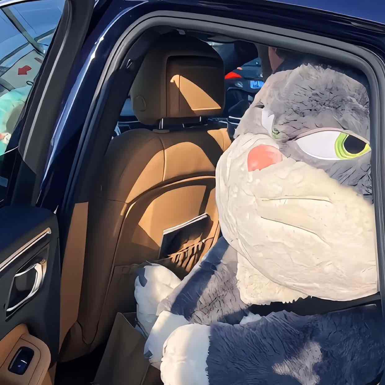 AllThingsInTheUniverse