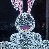 Leonardo investigador