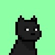 host_avatar