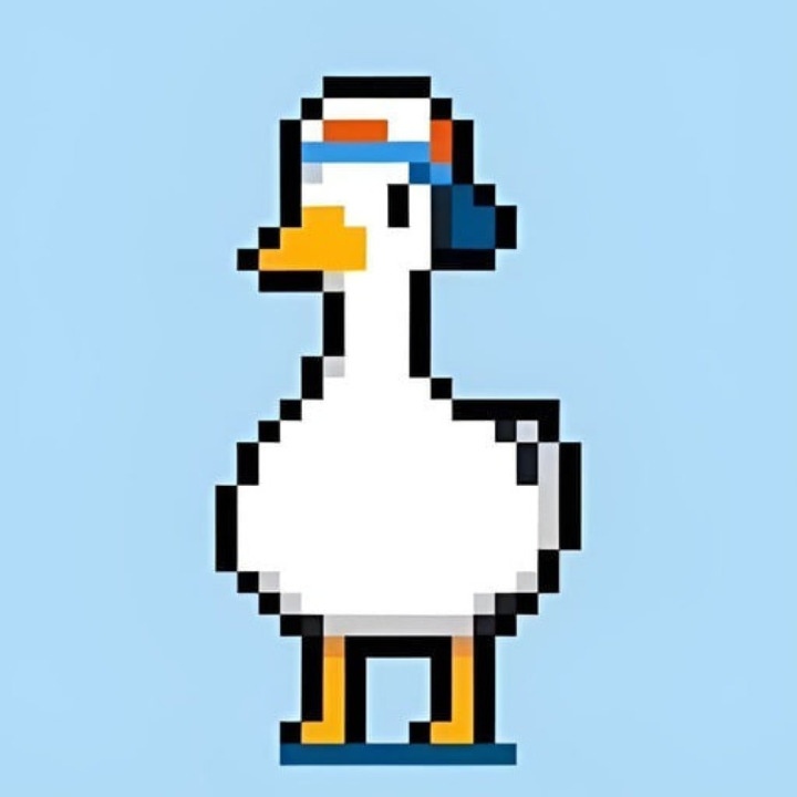 host_avatar