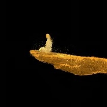 #ETH 
Ethereum's short-term trend is relatively strong, supported by news of whale accumulation. As long as the daily range of 3010-3050 holds, a rebound to 3180-3230 can be expected; if it breaks through, look for 3500-3600 (this range can be used to set up short positions). If it falls below 3000, the bullish pattern will be broken, so be cautious of risks.
Follow me for continuous updates.