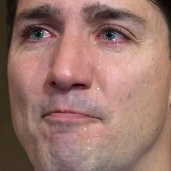 UnpopularOpinionPuffin