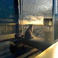 user-avatar