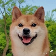 乾坤未定，你我皆是黑马！