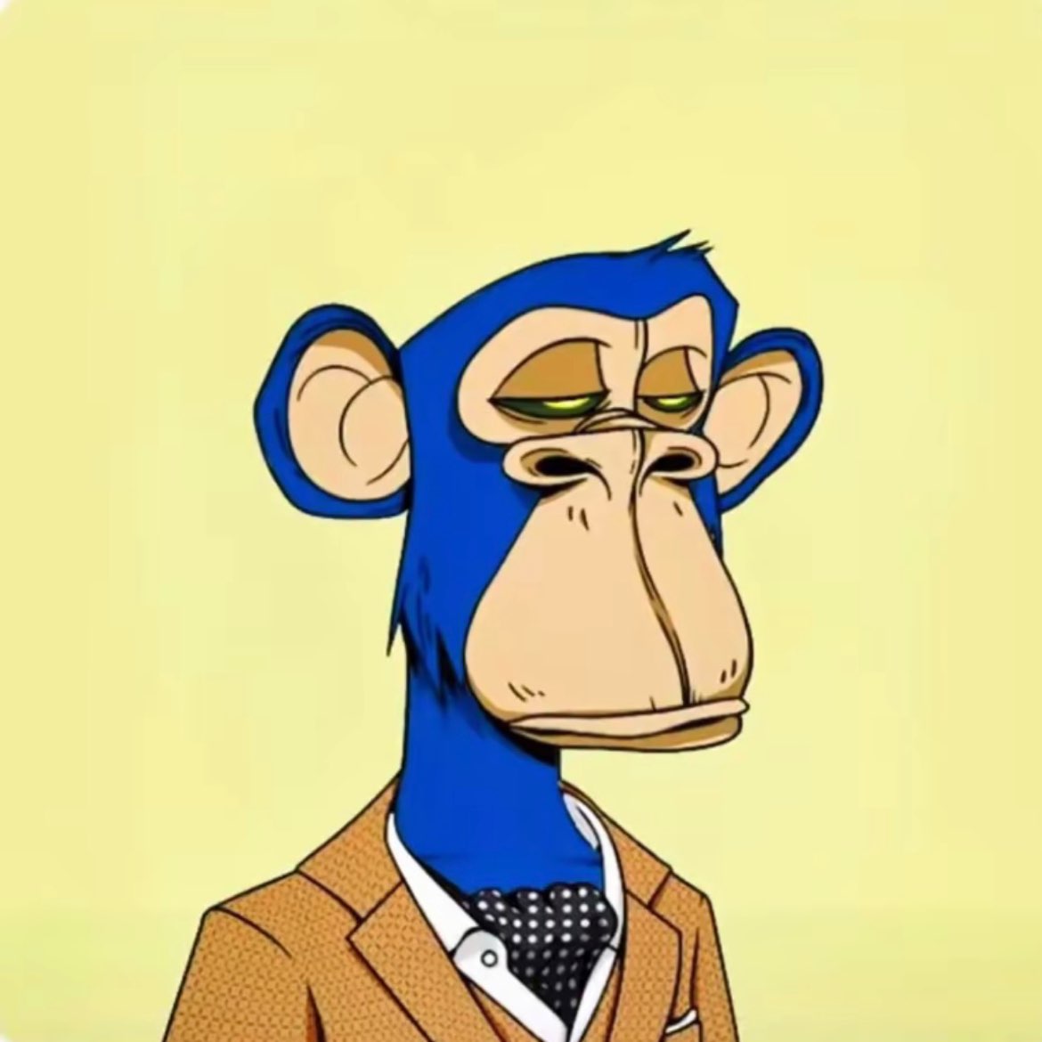 host_avatar