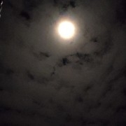 Believe it or not, as soon as the short position is closed, it will immediately drop.