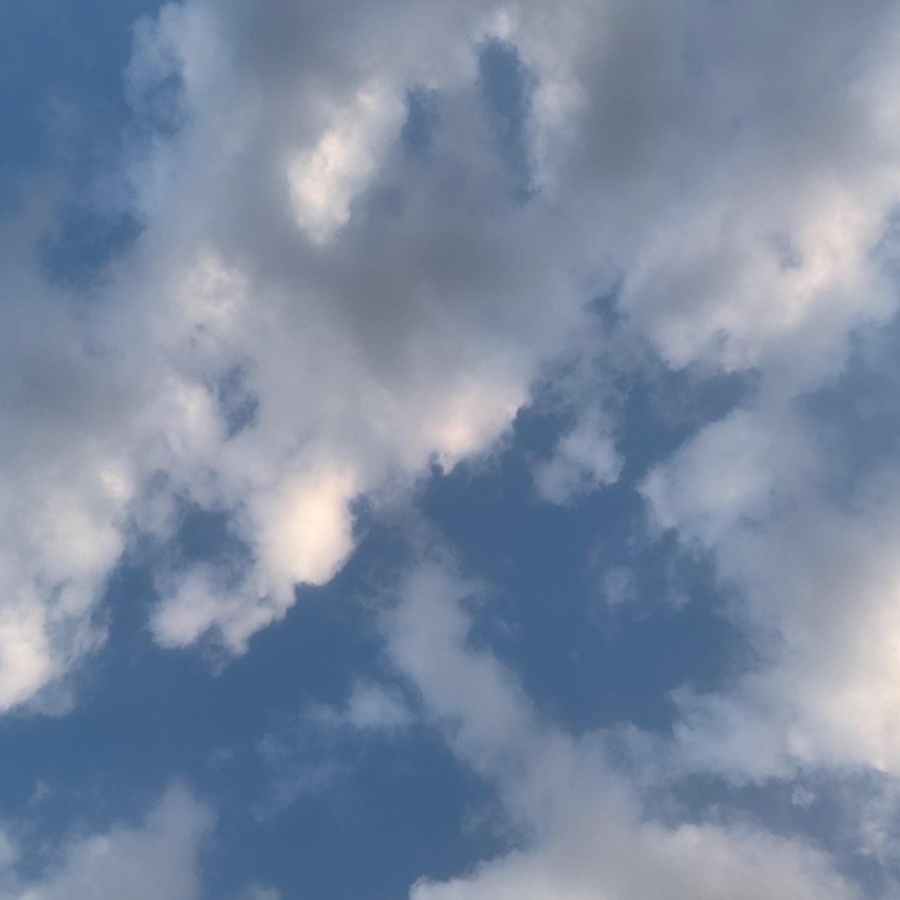 #XRP现货ETF将上线 