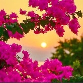 #CryptoMarketMildlyRebounds 
What’s the current status of Bitcoin and altcoins: Market Overview (December 26)
Bitcoin is trading at around $88,980, up 1.5%, while in Turkish Lira it is approximately 3,819,722 TRY.
Ethereum (ETH) is up 1.2% at $2,973, BNB (BNB) has increased by 0.7% to $842, Ripple (XRP) is up 0.1% at $1.87, Dogecoin (DOGE) has decreased by 1.9% to $0.1258, Solana (SOL) is up 1% at $123.40, and TRON (TRX) has decreased by 0.2% to $0.2796.
In the last 24 hours, Bitcoin Cash (BCH) surged 6.4% to become the top gainer among altcoins, while Rain (RAIN) dropped 11.7%, making it the biggest loser.
Bitcoin Cash (BCH) is trading at $607.29, and Rain (RAIN) is at $0.007017.
The DXY (DXY) index is at 97.95.
Bitcoin’s market cap is around $1.77 trillion, while the total cryptocurrency market cap is approximately $3.07 trillion.
The 24-hour trading volume in the crypto market is around $85 billion.
The USD/TRY exchange rate is at 42.92, and the EUR/TRY rate is at 50.63.
In the last 24 hours, $196 million worth of positions were liquidated in the crypto market, affecting over 93,000 crypto investors.
Short (short) positions accounted for 52.49% of the liquidations, with Bitcoin (BTC) experiencing the highest number of liquidations.