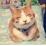 PleaseCallMeCatZong