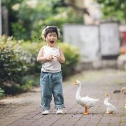 $BTC  has dropped to rock bottom