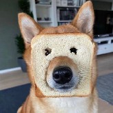 Last night at Trump's press conference, he directly passed the buck. The U.S. Secretary of Defense wants to take the lead in attacking Iran, saying they can't be allowed to possess nuclear weapons. I just said we could take a walk in the Middle East. Now Trump is in a tough spot on Iran - attacking it will consume massive military spending, and he doesn't have much money to begin with. Not attacking it, his military strength gets underestimated, and future cooperation negotiations become difficult.
If I were Trump, I'd directly send the Flying Tigers to aggressively take on Iran. If we win, we profit from the Strait of Hormuz. If we lose, I'd pump BTC hard before leaving office - set for life.