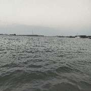 $PI  Brothers, keep pushing to blow up the short positions on the two Mimi 😀😀😀