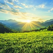 请叫我鹏哥带单中