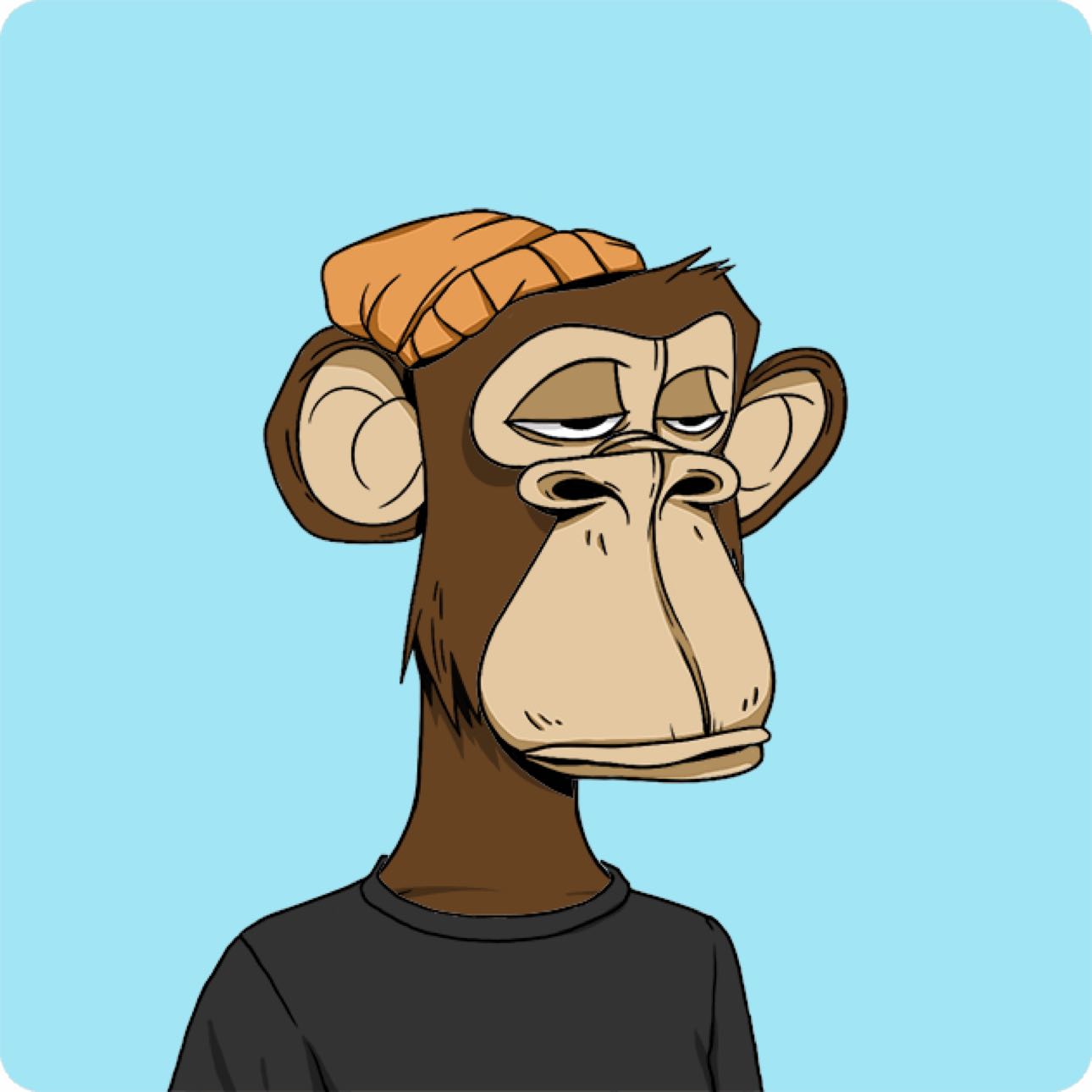 host_avatar