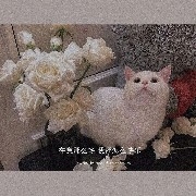 #KAS  Laughing to death, no rebound, got dragged to death by the big pancake.