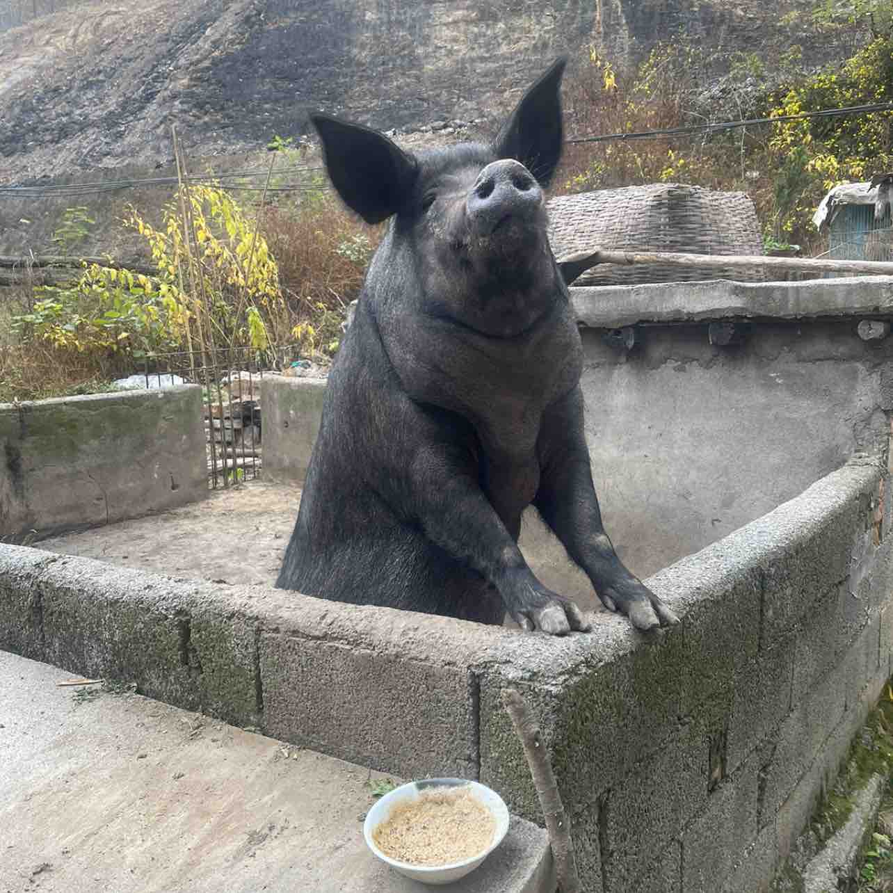 $ETH  has gotten off the vehicle