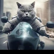 $PI  walked out with the momentum of the dragon raising its head😀