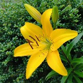 #PI  fall start the fall rhythm