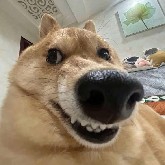 #PI As soon as you buy, you start losing money, no matter what the price is. Strange, isn't it?