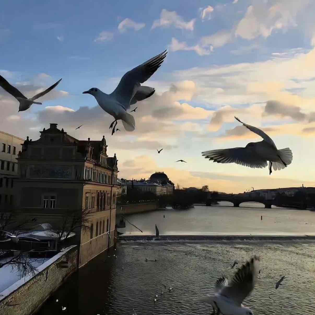 20,000 oil flip to 48,000 oil, seize three times and that's enough
In the crypto world, I stay alert at all times, but I never fear challenges because I know that each challenge is an opportunity for growth.
#2025Gate年度账单 #加密市场小幅回暖 #Gate社区圣诞氛围感 $BTC #现货黄金再创新高 $ETH 