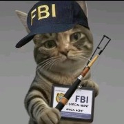 $PI  Confused and mischievous