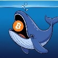 CryptoWhale2049