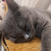 $ETH This stock exchange is the biggest thief. Save your money.