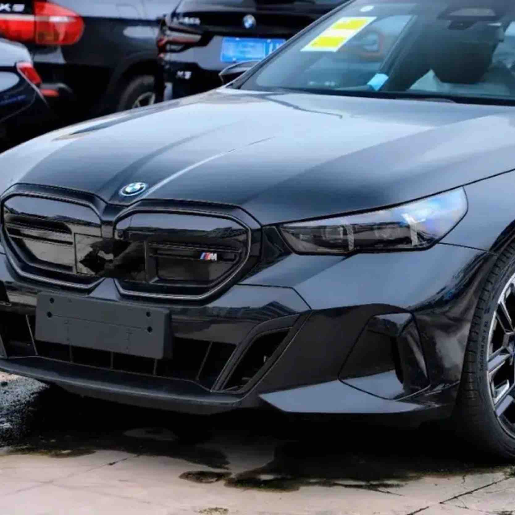 DirectorOfPIResearch