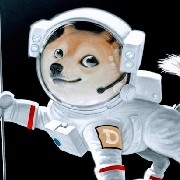 Is the overall trend bullish or bearish?