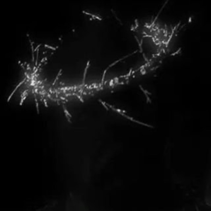 $eth got a bit of a skew goin 