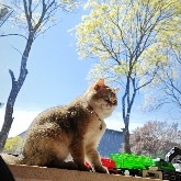 #ETH  You are Ether, a livestock now.