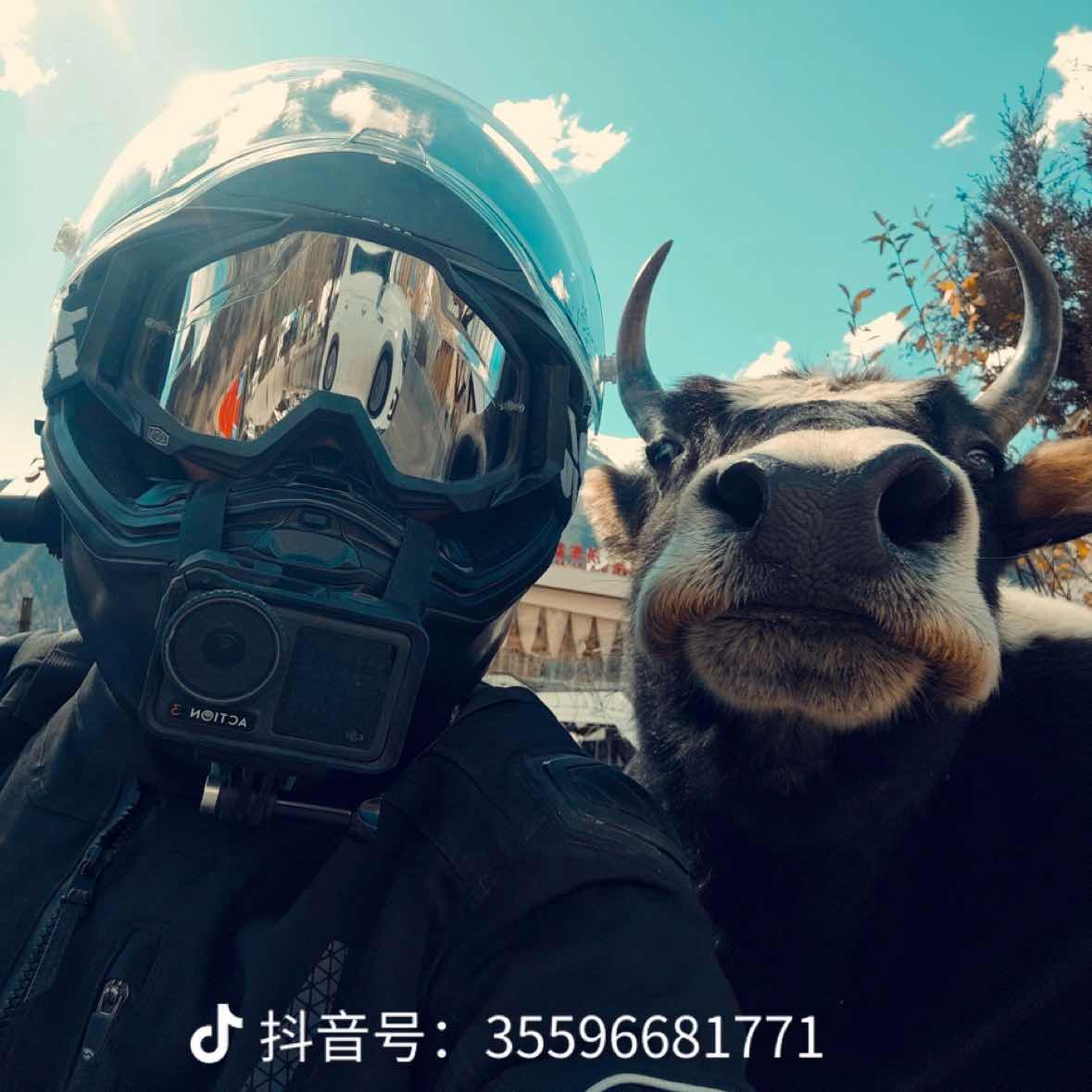 HamsterFlyingWheelDoctor