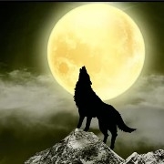 MoreWealth,MoreBillio