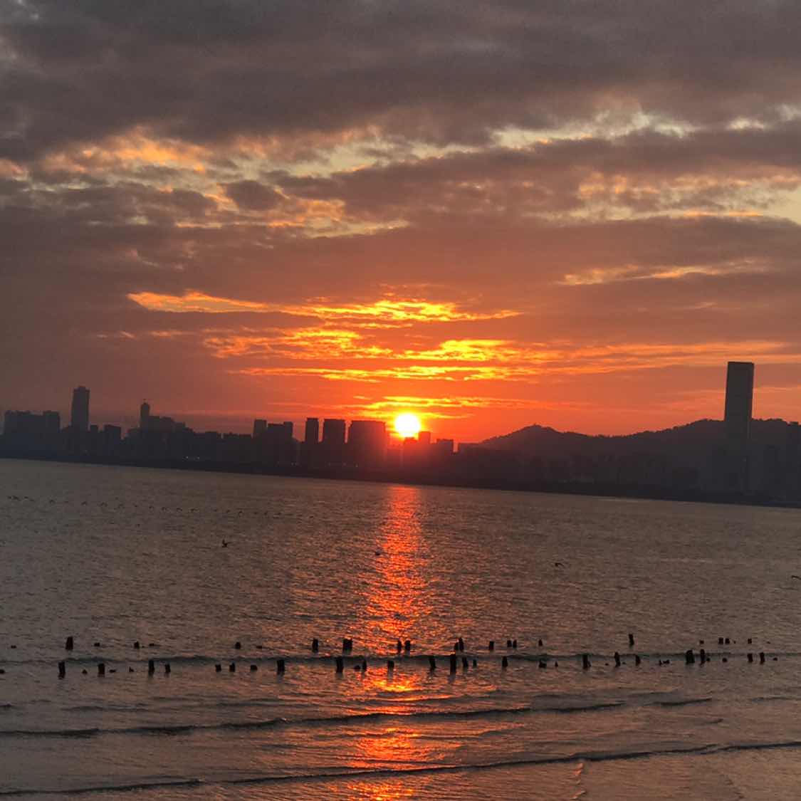 #美联储如期降息25基点 
Powell finally pressed the &#39;interest rate cut button&#39; that should have been pressed long ago.
At this moment, the investment circle is like students looking forward to a vacation — the Federal Reserve has finally cut interest rates by 25 basis points! The rate hikes over the past two years have pressed global assets down to the floor, and now they are finally being loosened.
In the short term, the US dollar index may continue to weaken, US Treasury yields may decline, and gold and Bitcoin are leading the way up, as market sentiment shifts from "nervous" to "risk-taking." However, a rate cut does not equal the start of a loosening feast. The Federal Reserve is being cautious with rate cuts, indicating its concern about balancing economic stability while fearing the resurgence of inflation.
I think this is a "gentle probe" - a signal test. If future data aligns, the Federal Reserve will continue to inject liquidity. At this moment, the market feels more like a pre-party warm-up rather than a carnival. Smart investors will raise their glasses with a smile, but they still hold the take-profit button in their hands.