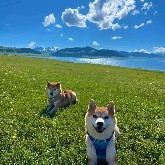 #PI  This birdcoin keeps bleeding out, what's going on??? Aaaaaa